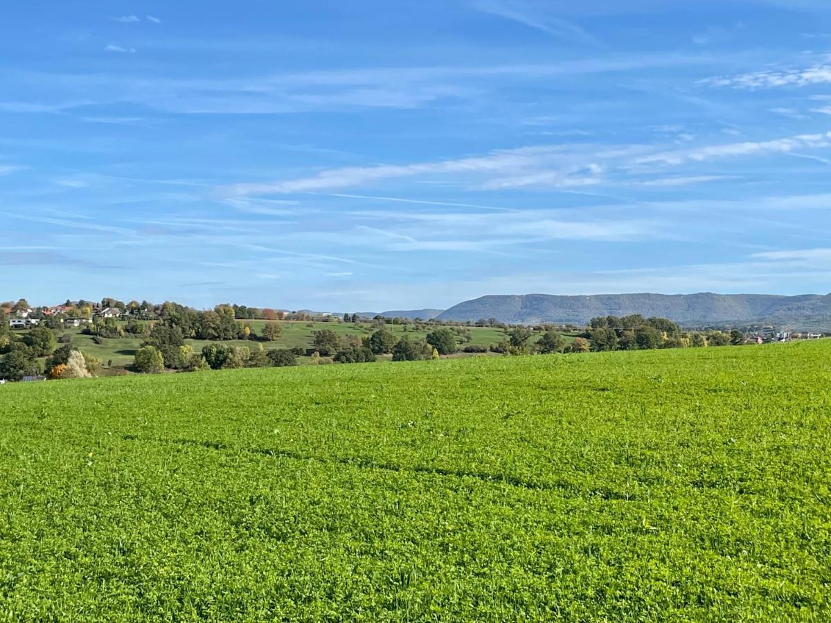 Sonnige 3 Zimmer Wohnung Mit Schoenem Balkon Im Gruenen Reutlingen Exteriér fotografie